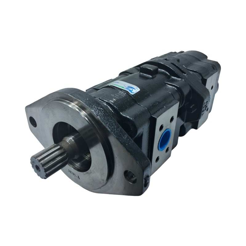 BOMBA PRINCIPAL DUPLA W20B MEDAL E69484 50102073003