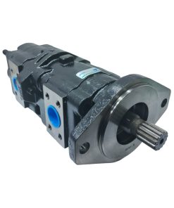 BOMBA PRINCIPAL DUPLA W20B MEDAL E69484 50102073003