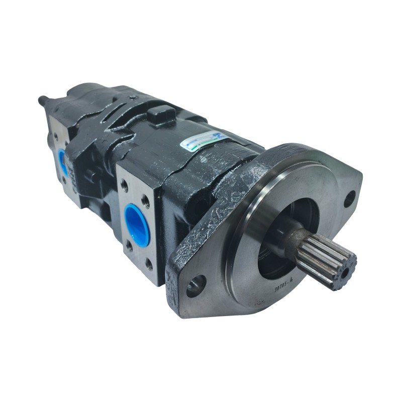 BOMBA PRINCIPAL DUPLA W20B MEDAL E69484 50102073003