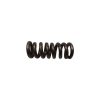 MOLA DA PLACA DE FREIO VOLVO L70F PV018312