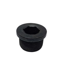 BUJÃO TRAÇÃO ZF TSA09 87530700 0501308314 80297100