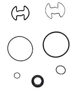 REPARO BOMBA SILVERADO MWM CX22800 ZF7683298800 CHEVROLET