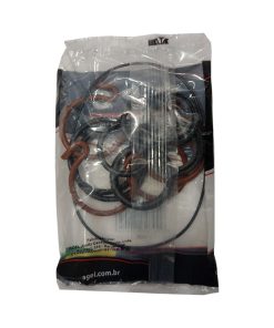 KIT REPARO BOMBA MARRUCCI VEDAÇÃO VITON BHM100 BAS024