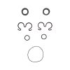 KIT REPARO BOMBA MARRUCCI BHM250 VITON BAS025