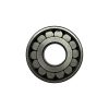 ROLAMENTO- F19040 MU1305TDM 25X62X19 ''FERSA
